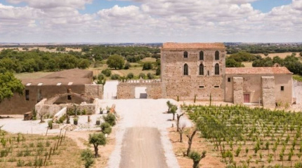 Fita Preta Vinhos