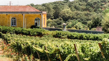 Quinta de Sant' Ana